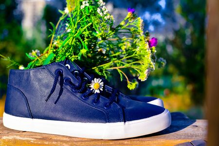 bouquet of wild flowers with a predominance of chamomile in shoesの写真素材