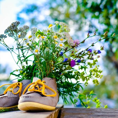 bouquet of wild flowers with a predominance of chamomile in men's or women's shoesの写真素材