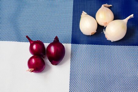 red onion and white onion on a background divided into four partsの写真素材