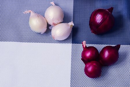 red onion and white onion on a background divided into four partsの写真素材