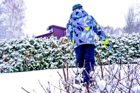 walking in the park on a winter cloudy dayの写真素材