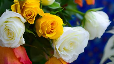 yellow or orange roses in a gift bouquetの写真素材