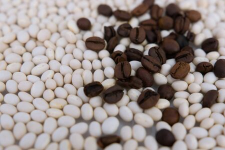 coffee beans and beans on a white tableの写真素材