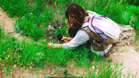 different plants in the meadow, in the mountains or in the country in the springの写真素材