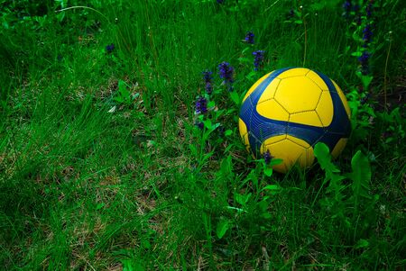 blue and yellow soccer ball in the tall grassの写真素材