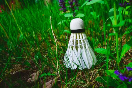 white shuttlecock for playing badminton in the grassの写真素材