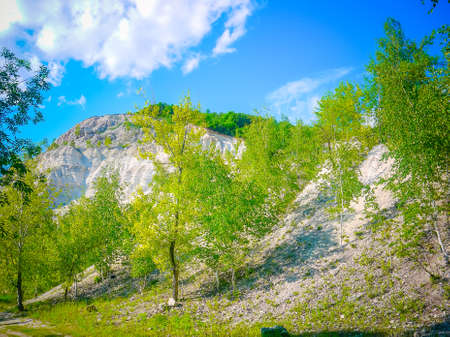 landscape in spring or summer with green birch leaves and mountains