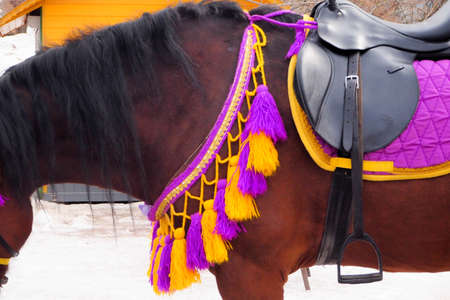 park in the middle of spring with attractions, walking people and animalsの写真素材