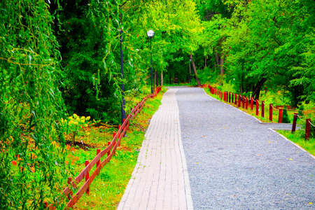park in early autumn on a cloudy dayの写真素材