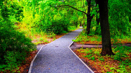 park in early autumn on a cloudy day
