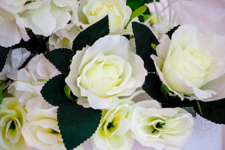 holiday decoration with pastel flowersの写真素材