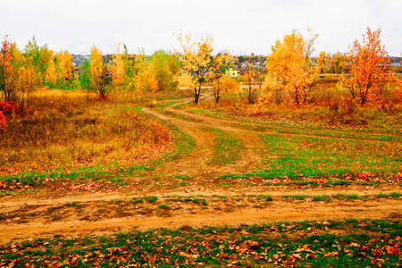 autumn landscape next to a river or lake, cloudy dayの写真素材