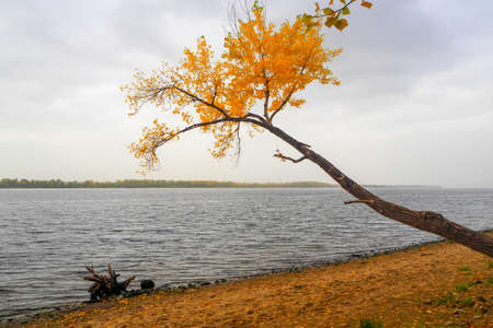 autumn landscape next to a river or lake, cloudy dayの写真素材