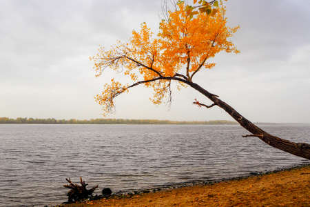 autumn landscape next to a river or lake, cloudy dayの写真素材