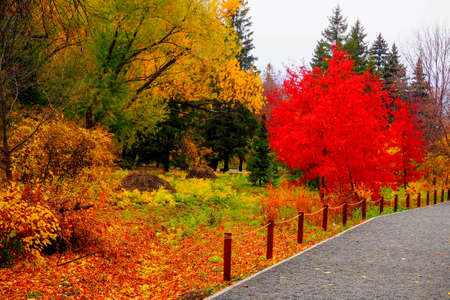 autumn landscape next to a river or lake, cloudy dayの写真素材
