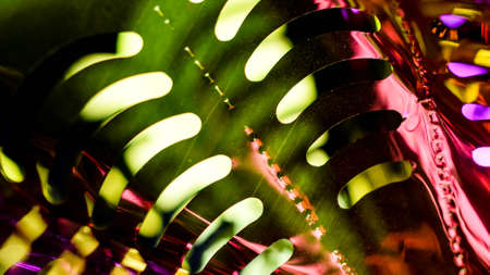 fragments of interior decorations for a holiday or everydayの写真素材