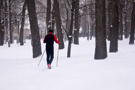 walking people in a winter park on a cloudy day