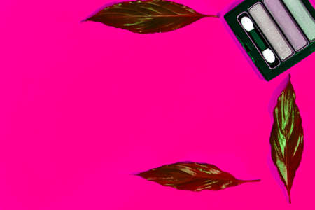 women's perfumes and cosmetics with plant leaves on a colored backgroundの写真素材