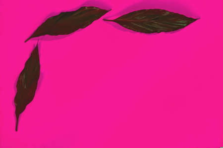 women's perfumes and cosmetics with plant leaves on a colored backgroundの写真素材