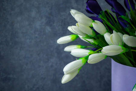 crocuses - artificial flowers of white, blue and redの写真素材