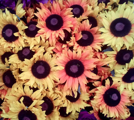 decorative flowers in different combinations, coloredの写真素材