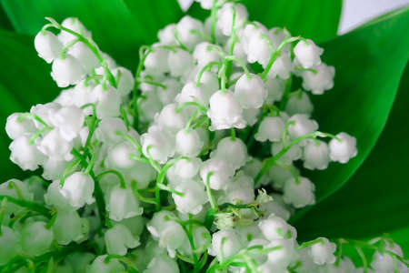 bouquet of lilies of the valley with leaves in a vase or on a tableの写真素材