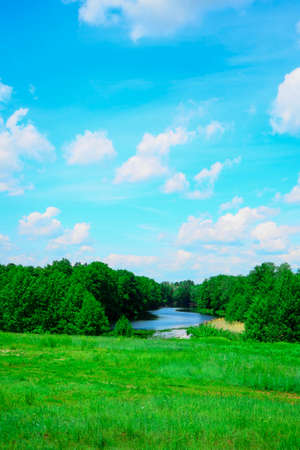 landscape with or near a lake in early summer in the middle zone of the European part of the...