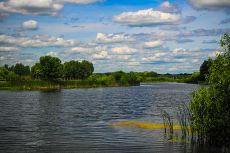 nature of Central Europe in summer on a sunny day, landscape