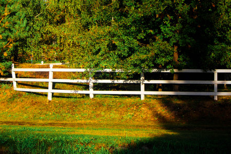White fence in the field with green grass, trees and sunlight.の写真素材