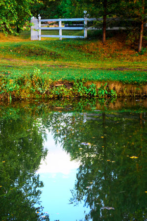 Reflection of trees in the pond with white fence in autumn parkの写真素材