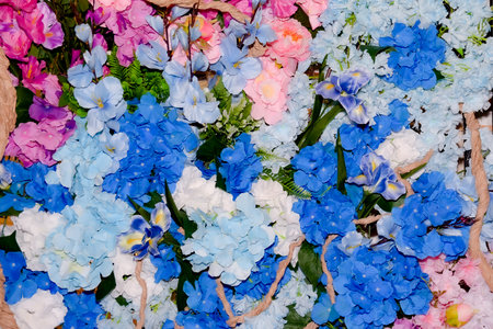 Colorful hydrangea flowers for sale at a flower marketの写真素材
