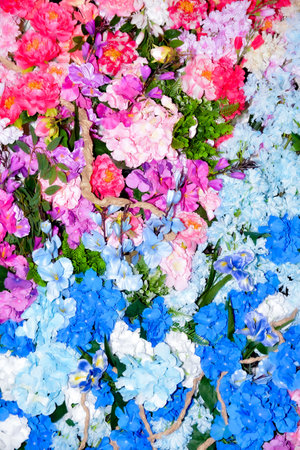 Colorful Hydrangea flowers for sale at a flower market.