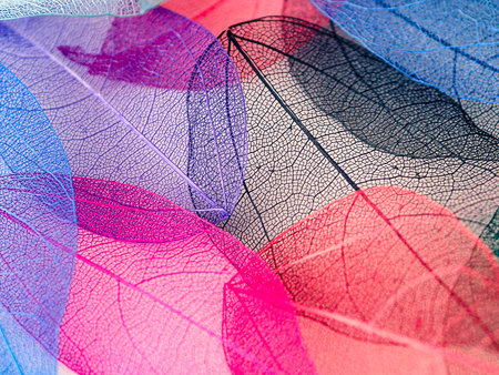 abstract background of multicolored leaves close-up. macro
