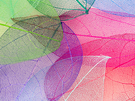 Leaf pattern. Leaf texture background. Leaf pattern. Leaf texture.