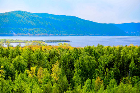 Aerial view of lake and forest at sunny summer day. Nature backgroundの写真素材