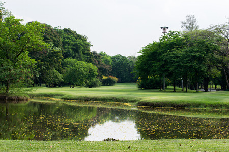 garden natureの写真素材