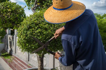 The workers are working with decorated trees.