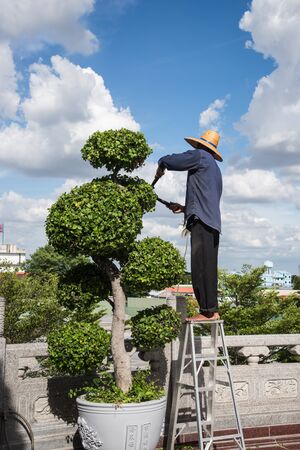 The workers are working with decorated trees.