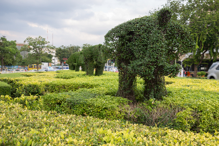 Tree sculpture by island artisans.の写真素材