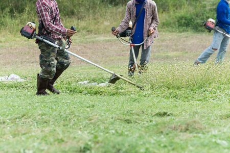 The workers are cutting grass.の写真素材