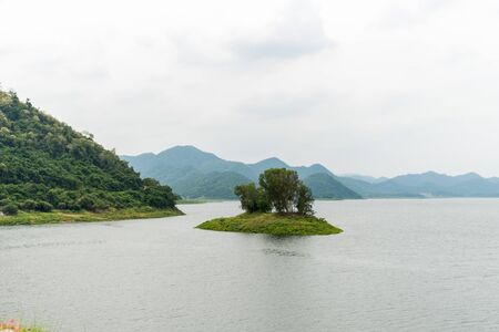 Tree island in the middle of the water