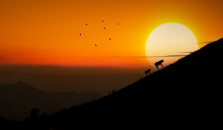 silhouette Mountain sunsetの写真素材