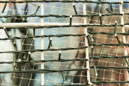 A small bulb lamp.の写真素材