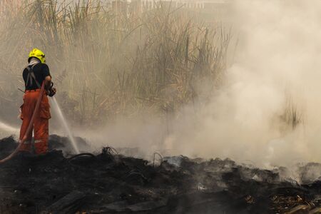 Firemen using water hose on fireの写真素材