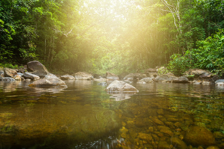beautiful tropical rainforest waterfall in deep forest, Klong Plu National Park, Thailandの写真素材