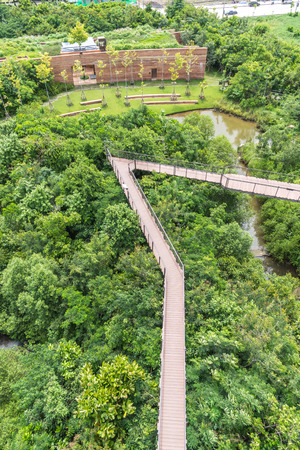Wood bridge into the forest top viewの写真素材