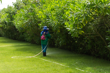 Gardener watering the garden on sunny dayの写真素材