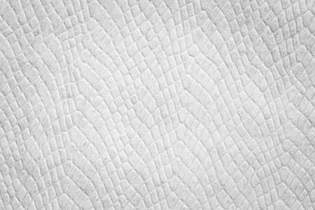 Black and white leather texture background