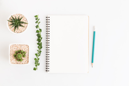 Top view white notebook with cactus on white background, flat lay photo and copy space for designの写真素材