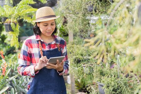 Asian woman is using a tablet to check the vegetation in the Ornamental plant shop, Small business conceptの写真素材